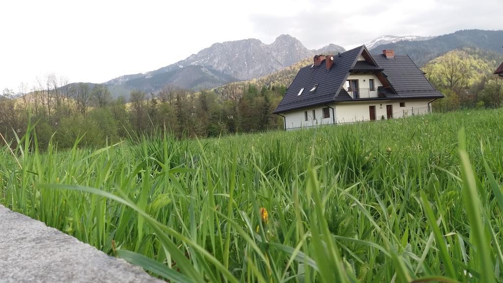 Willa W Dolinie Cichej Wody Zakopane Extérieur photo